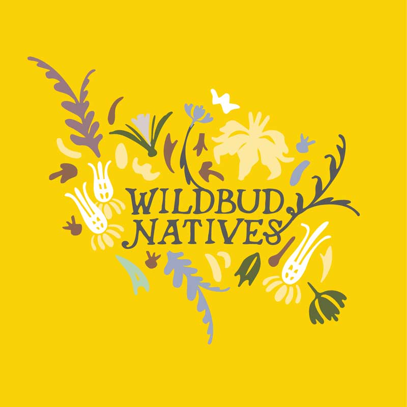 Wildbud Natives